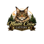 ff5b3dc9 73b7 42de ae71 2d476a591872